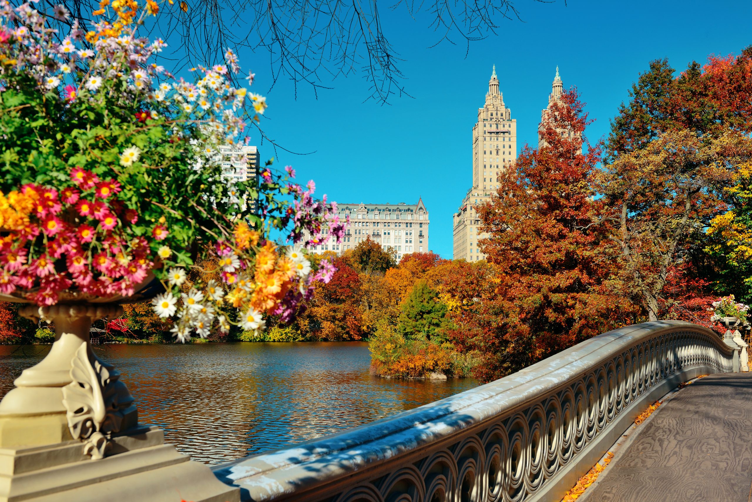 United States town and flowers